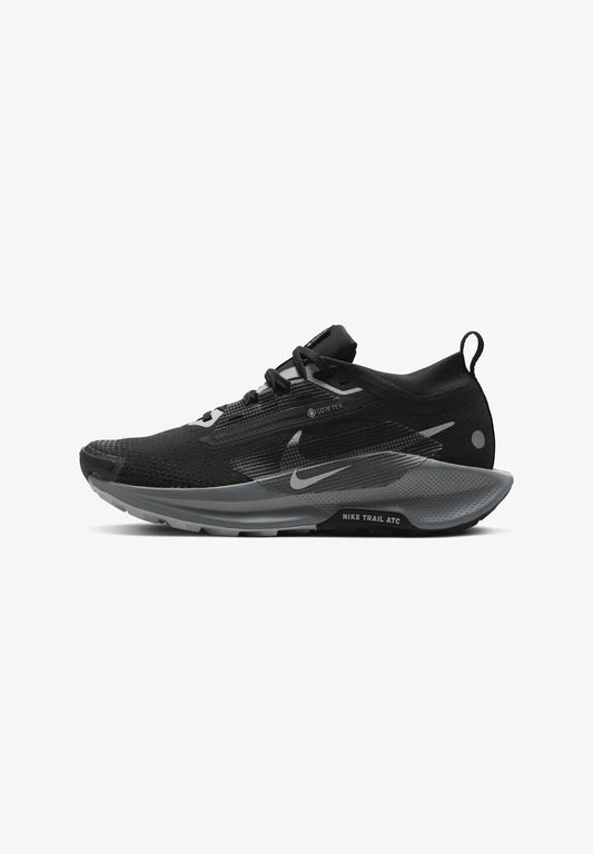 Nike Pegasus Trail 5 GORE-TEX – Noir & Gris