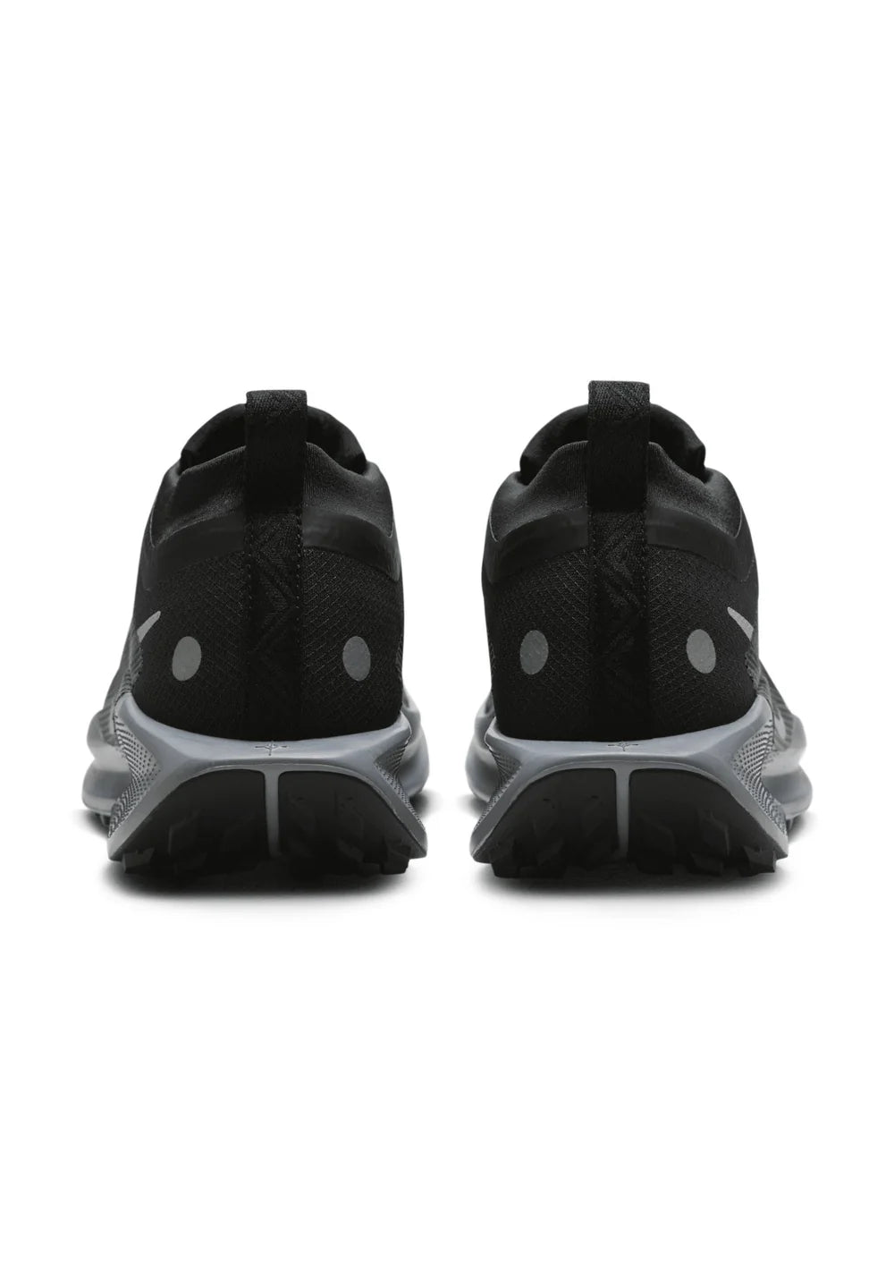 Nike Pegasus Trail 5 GORE-TEX – Noir & Gris