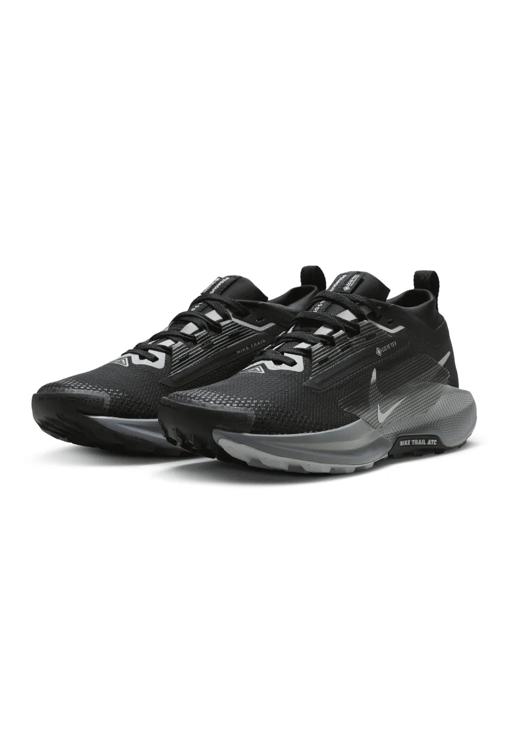 Nike Pegasus Trail 5 GORE-TEX – Noir & Gris