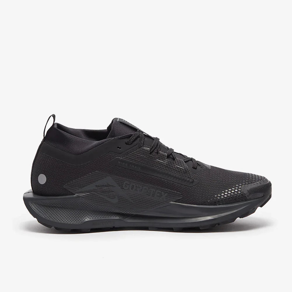 Nike Pegasus Trail 5 GORE-TEX – Noir