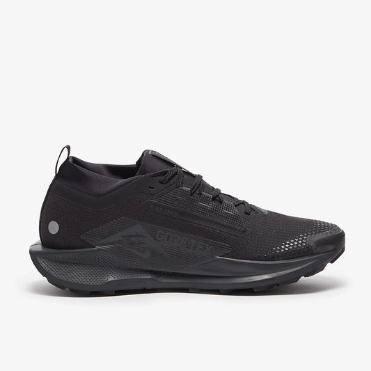 Nike Pegasus Trail 5 GORE-TEX – Noir