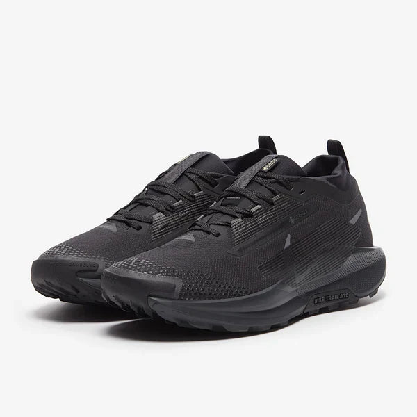 Nike Pegasus Trail 5 GORE-TEX – Noir