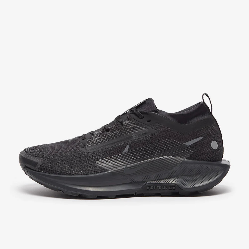 Nike Pegasus Trail 5 GORE-TEX – Noir
