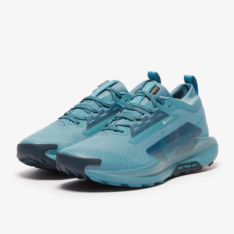 Nike Pegasus Trail 5 GORE-TEX – Bleu