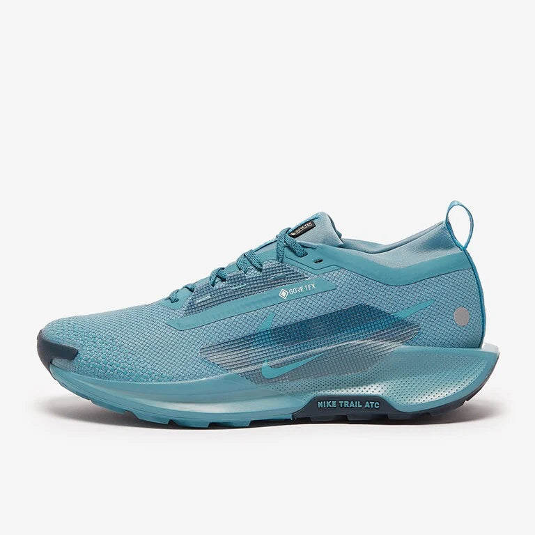 Nike Pegasus Trail 5 GORE-TEX – Bleu